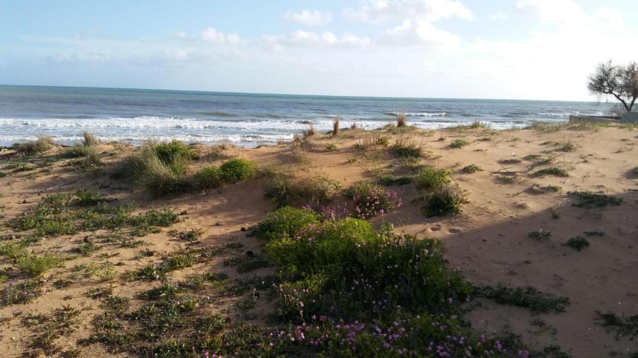 Mediterraneo Triscina Luaran gambar